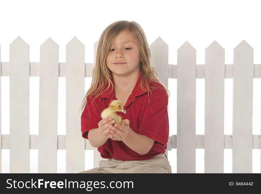 Little girl holding ducks with fence in background. Little girl holding ducks with fence in background.