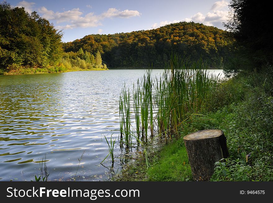 Autumn landscape on the artificial lake. Autumn landscape on the artificial lake