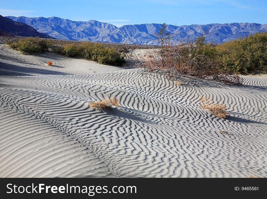 Sand Ripples In Death Valley National Park, California