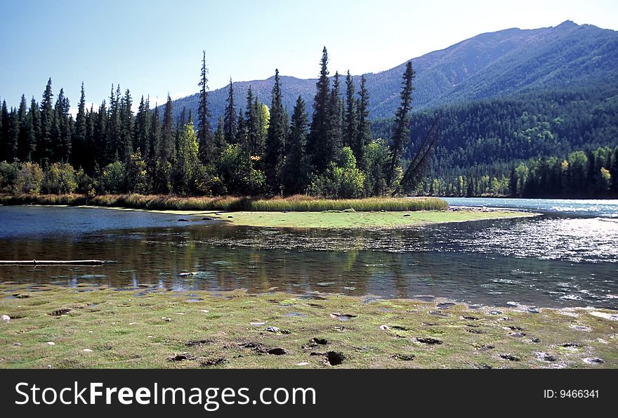 Small Island in the  Kanasriver,Xinjiang,China. Small Island in the  Kanasriver,Xinjiang,China