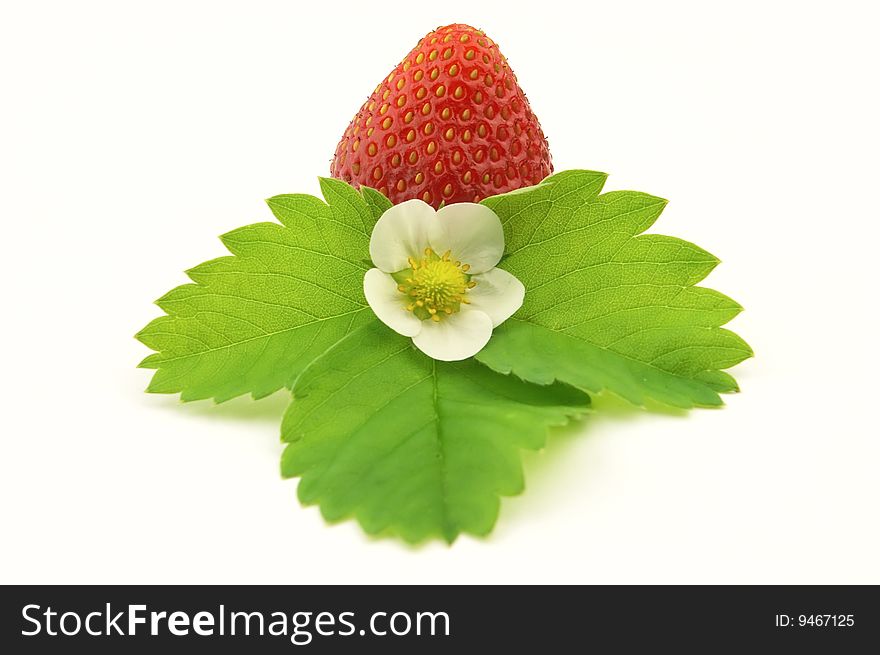 Strawberry with flower on a white background
