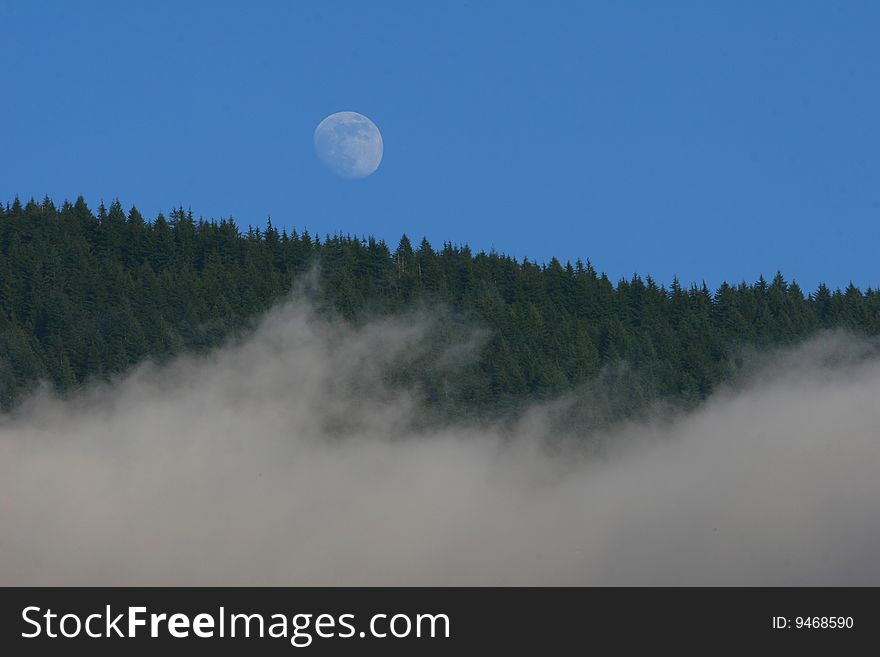A scenic of moon, forest, mountain, and fog. A scenic of moon, forest, mountain, and fog.