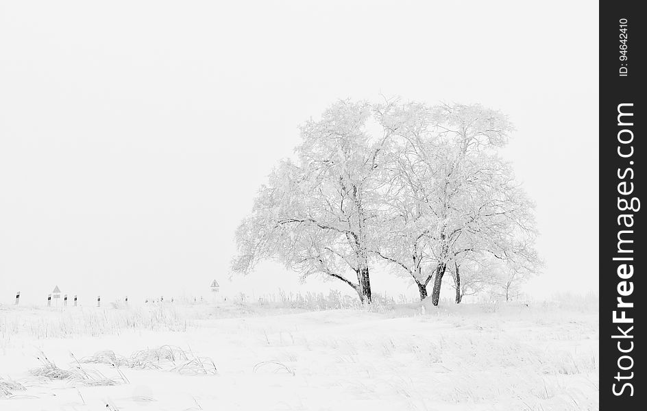 White And Black Tree Illustration