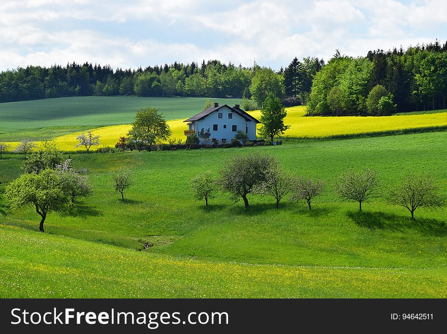 A country house with green yards and fields with crops. A country house with green yards and fields with crops.