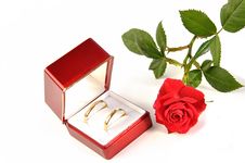 Wedding Rings And Rose. Stock Photo Wedding Rings And Rose. Stock Photo