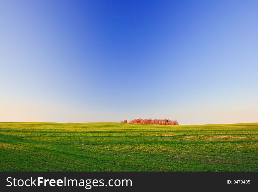 Spring landscape - green field, trees and the blue sky. Spring landscape - green field, trees and the blue sky