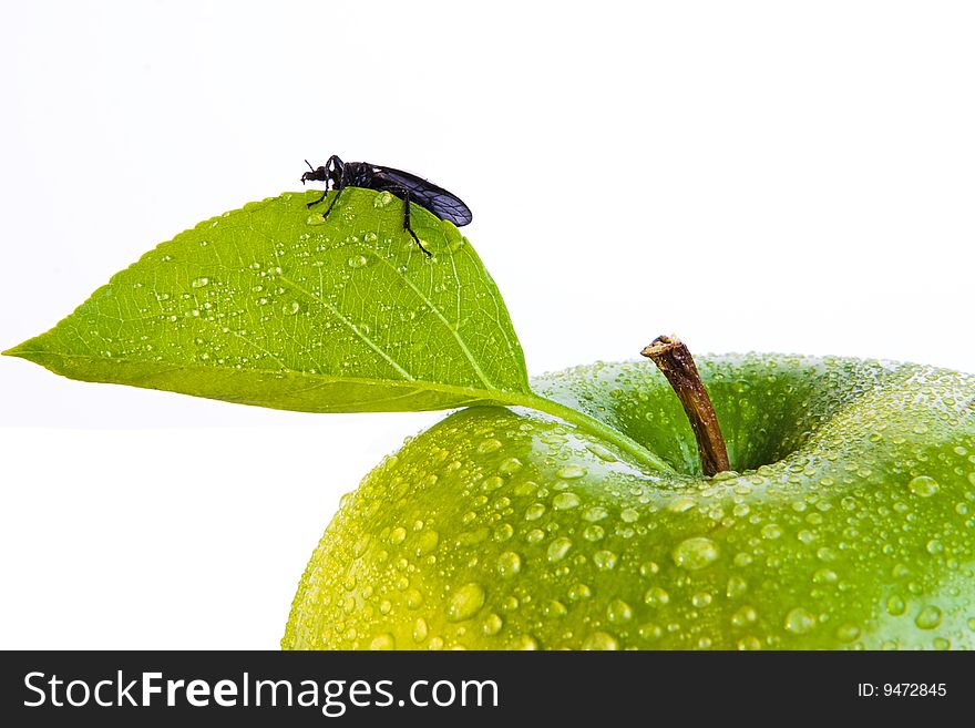 Green apple and bug, isolated on white