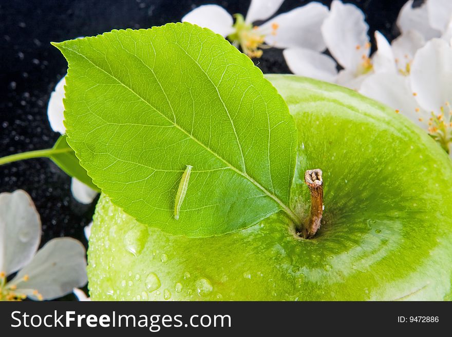 Green apple and caterpillar, on black surface