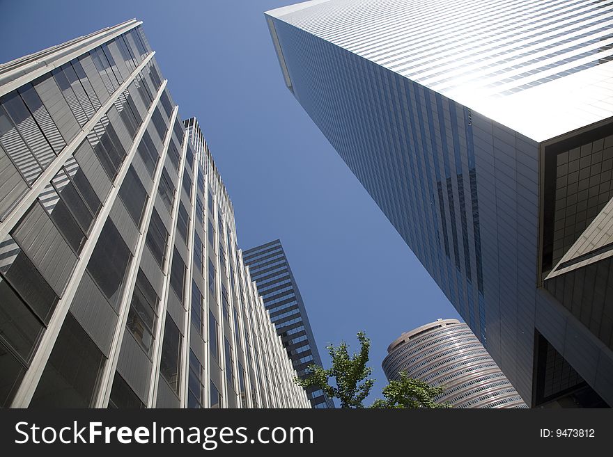 Modern office buildings in New York