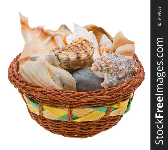 Sea Shells In A Basket Isolated On White