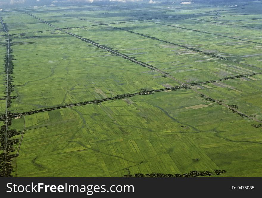 Aerial view of rice fields in Thailand. Aerial view of rice fields in Thailand.