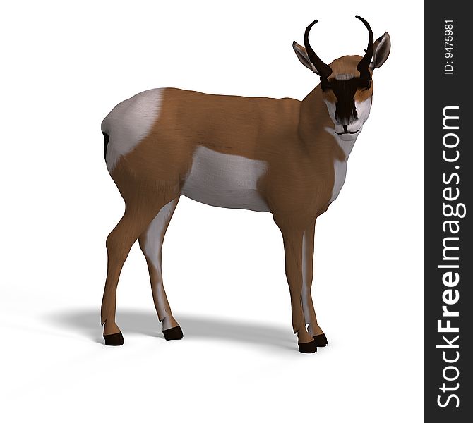 Rendering of an antelope with Clipping Path and shadow over white