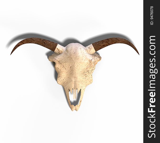 Rendering of a skull of a dead animal. With Clipping Path over white