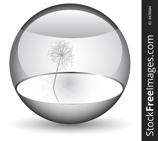 Dandelion in the orb, vector illustration