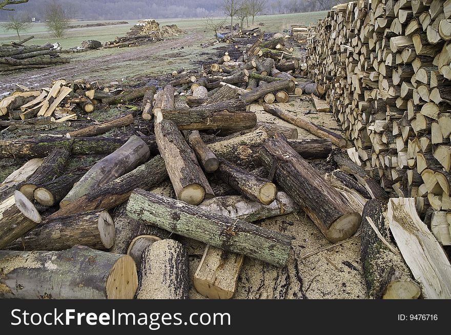 A woodpile in the open field