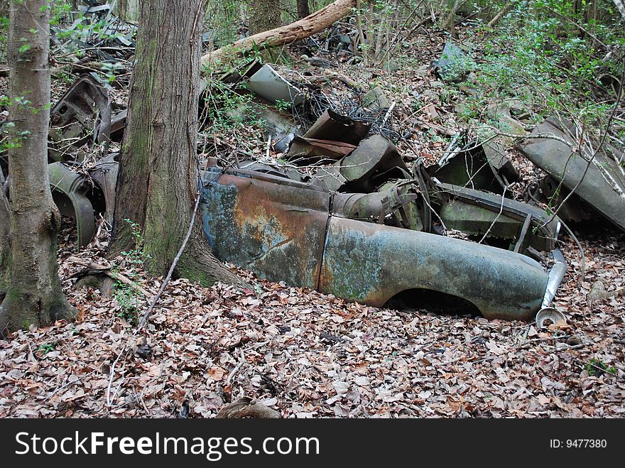 Great Swamp Sanctuary