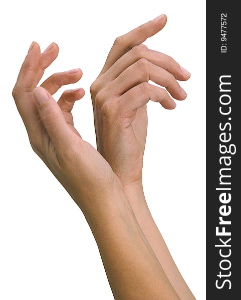 Hands of a young woman, well-kept isolated on a white background.