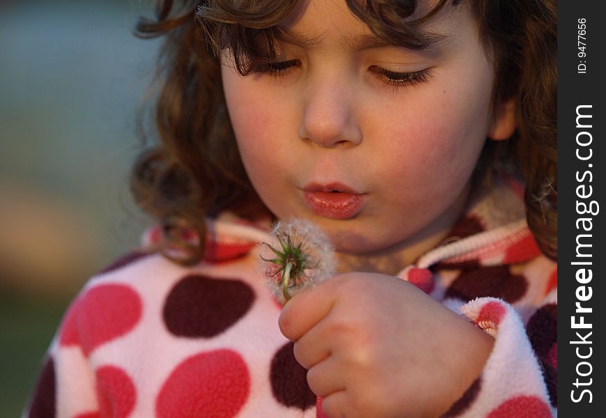 Sweet young girl blowing dandelion seeds enjoying nature in the outdoors. Sweet young girl blowing dandelion seeds enjoying nature in the outdoors.