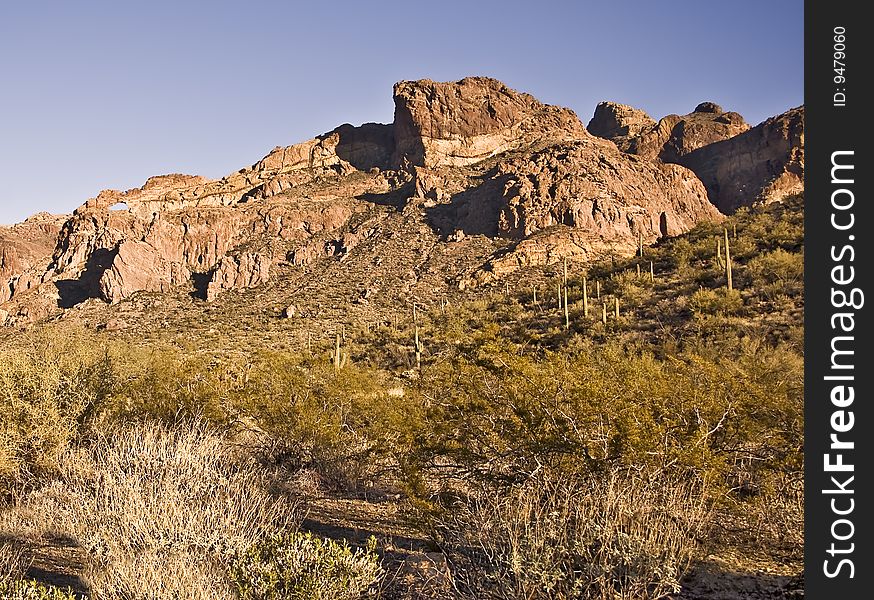 This is a picture of an Arizona mountainside from Organ Pipe National Monument