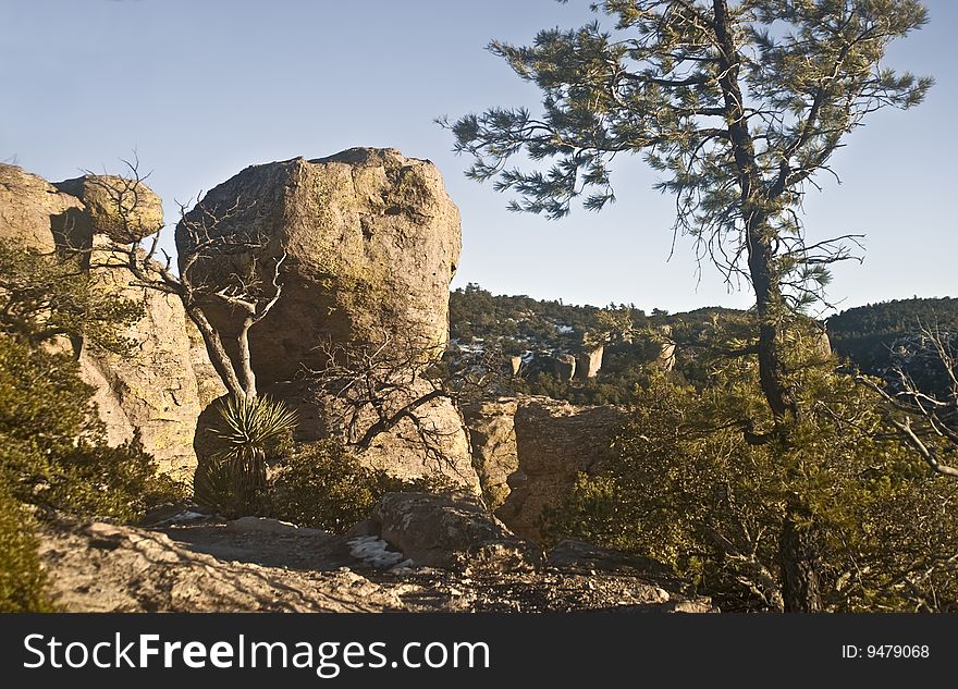 This is a picture of rock formations at Chiricahua National Monument