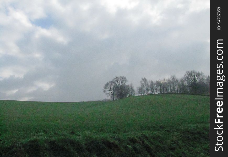 Cloud, Sky, Plant, Natural landscape, Vegetation, Land lot