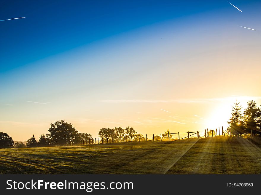 Sunrise on a green meadow with rays of sunlight coming from behind the trees. Sunrise on a green meadow with rays of sunlight coming from behind the trees.