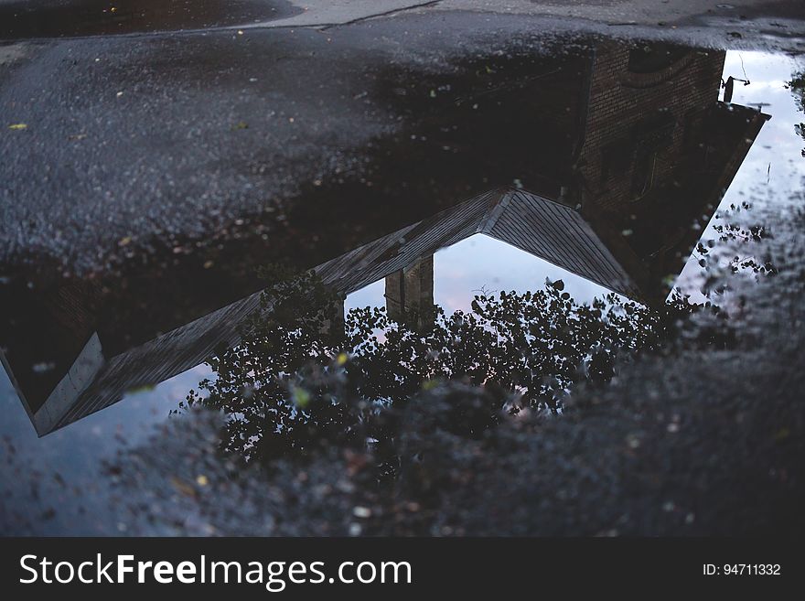 Relfection In The Puddle