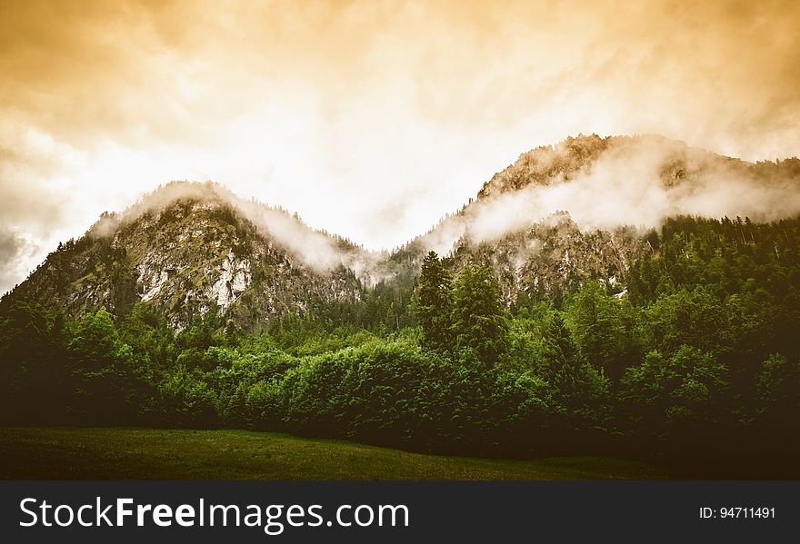 Misty mountain range and forest