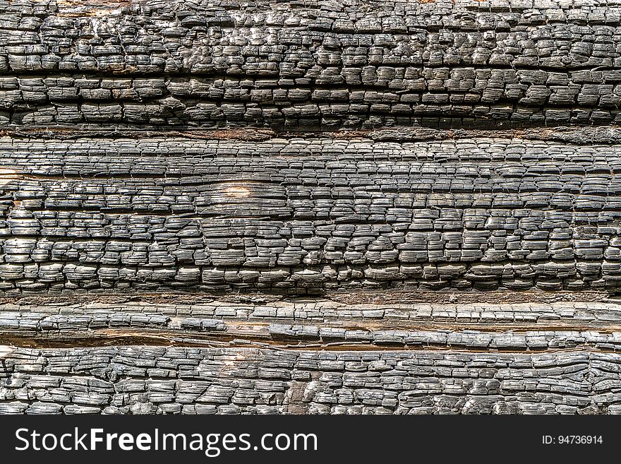 Texture burnt wood, charred logs