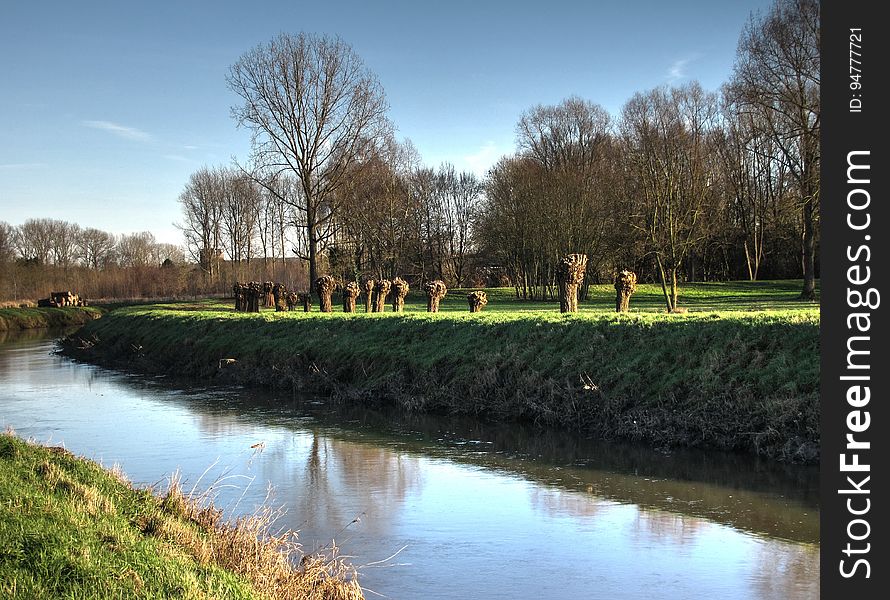 Water, Plant, Sky, Water resources, Leaf, Natural landscape