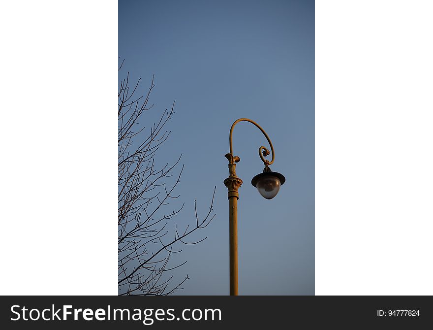 Sky, Street Light, Electricity, Twig