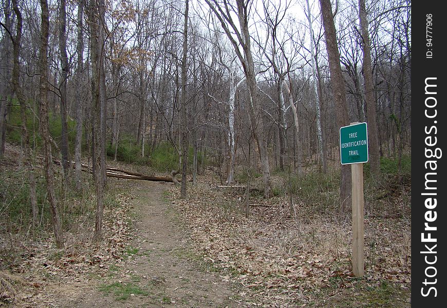 Oldtown Creek Preserve