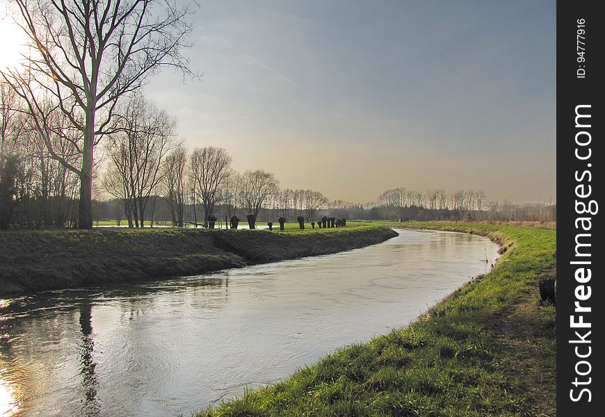 Water, Sky, Plant, Water resources, Natural landscape, Fluvial landforms of streams