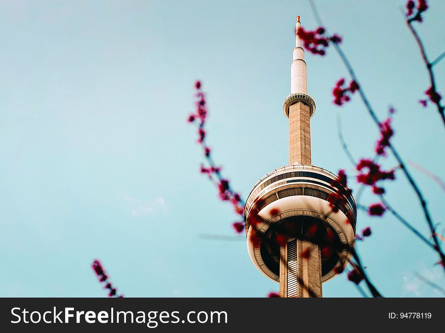 Amusement park tower ride through branches with spring buds.