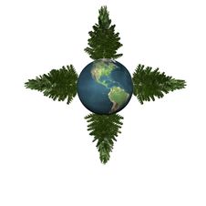Christmas Tree Ready To Decorate On Earth Royalty Free Stock Images Christmas Tree Ready To Decorate On Earth Royalty Free Stock Images