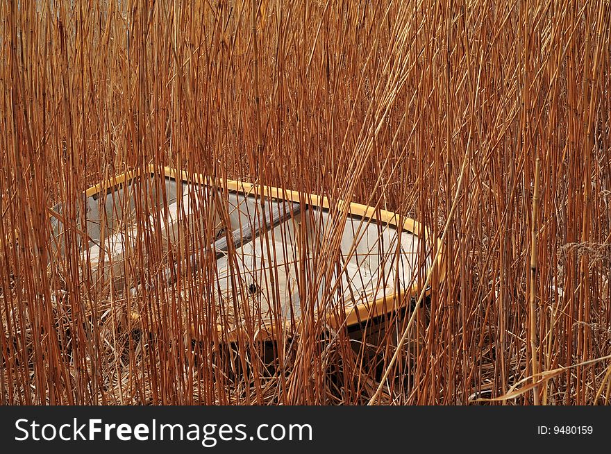 An abandoned row boat hidden among the reeds. An abandoned row boat hidden among the reeds.