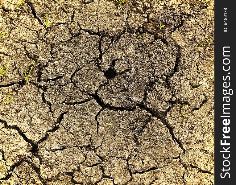 The cracked soil close up