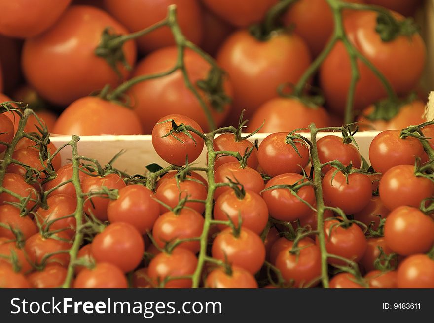 Tomatoes at a market stand