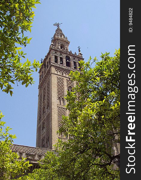 Seville cathedral surrounded by Orange trees