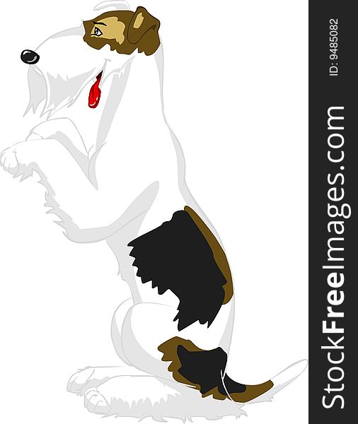 The dog fox-terrier sits on hinder legs, ridiculous, cartoon. The dog fox-terrier sits on hinder legs, ridiculous, cartoon