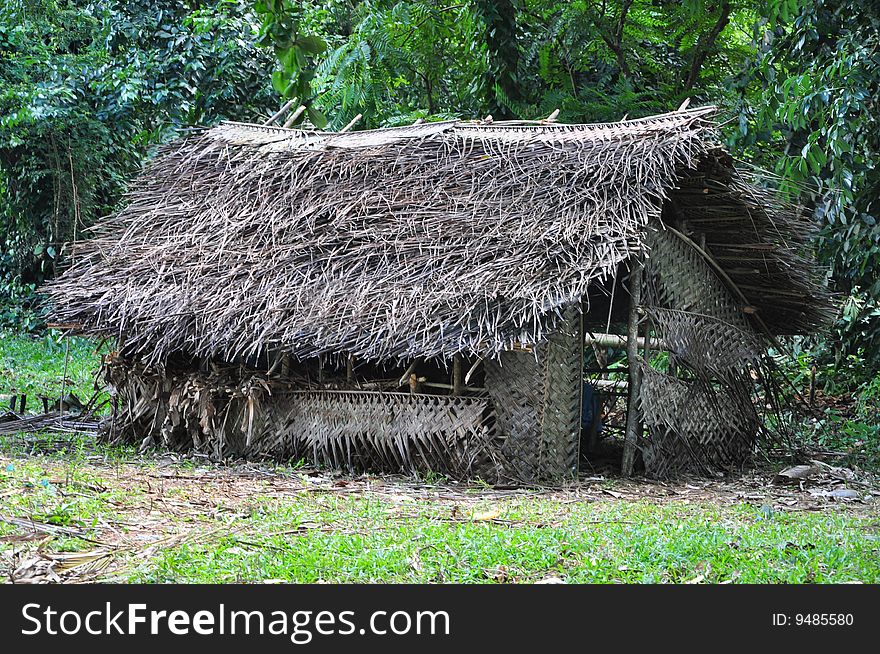 A hut build in a forrest on the island of Zanzibar.