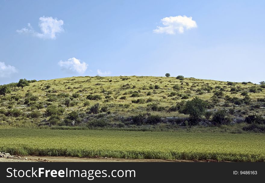 View of Green hill with blue sky