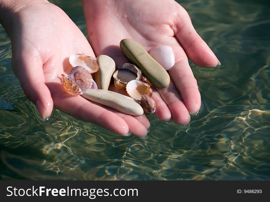 Two hands with seashell against sea water