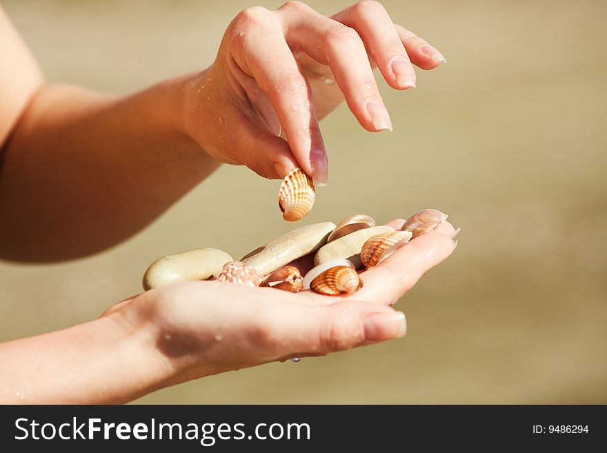 Two hands with seashell against yellow sand