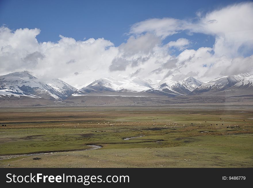 Sky,meadow and snow mountains in tibet