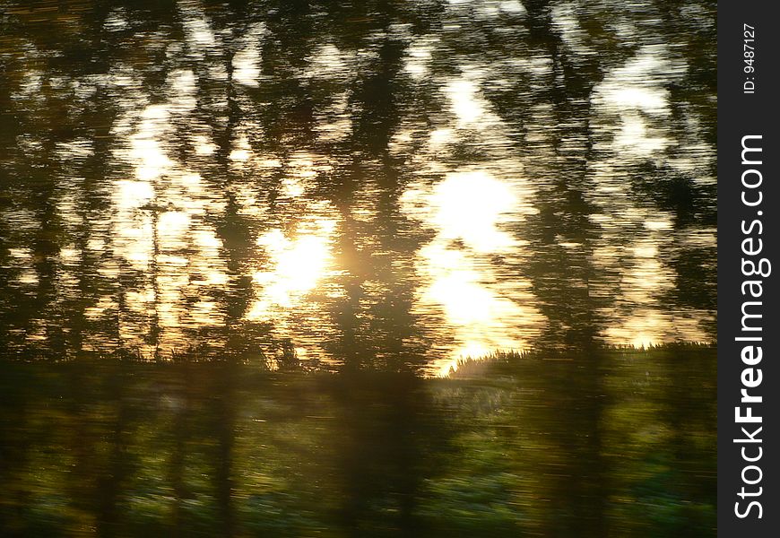 Backlighted Tree Shouted On A Train