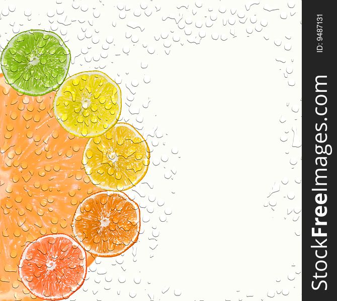 Slices of different citrus fruits cover with water drops