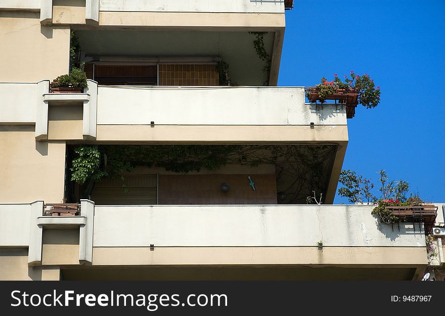 Modern building balconies with vases and flowers