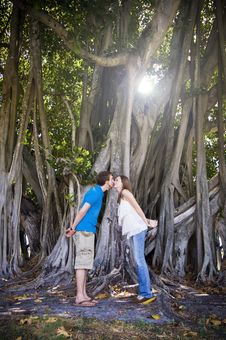 Couple Kissing Under Tree Royalty Free Stock Image