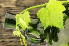 Green Bottle Stock Photo Green Bottle Stock Photo